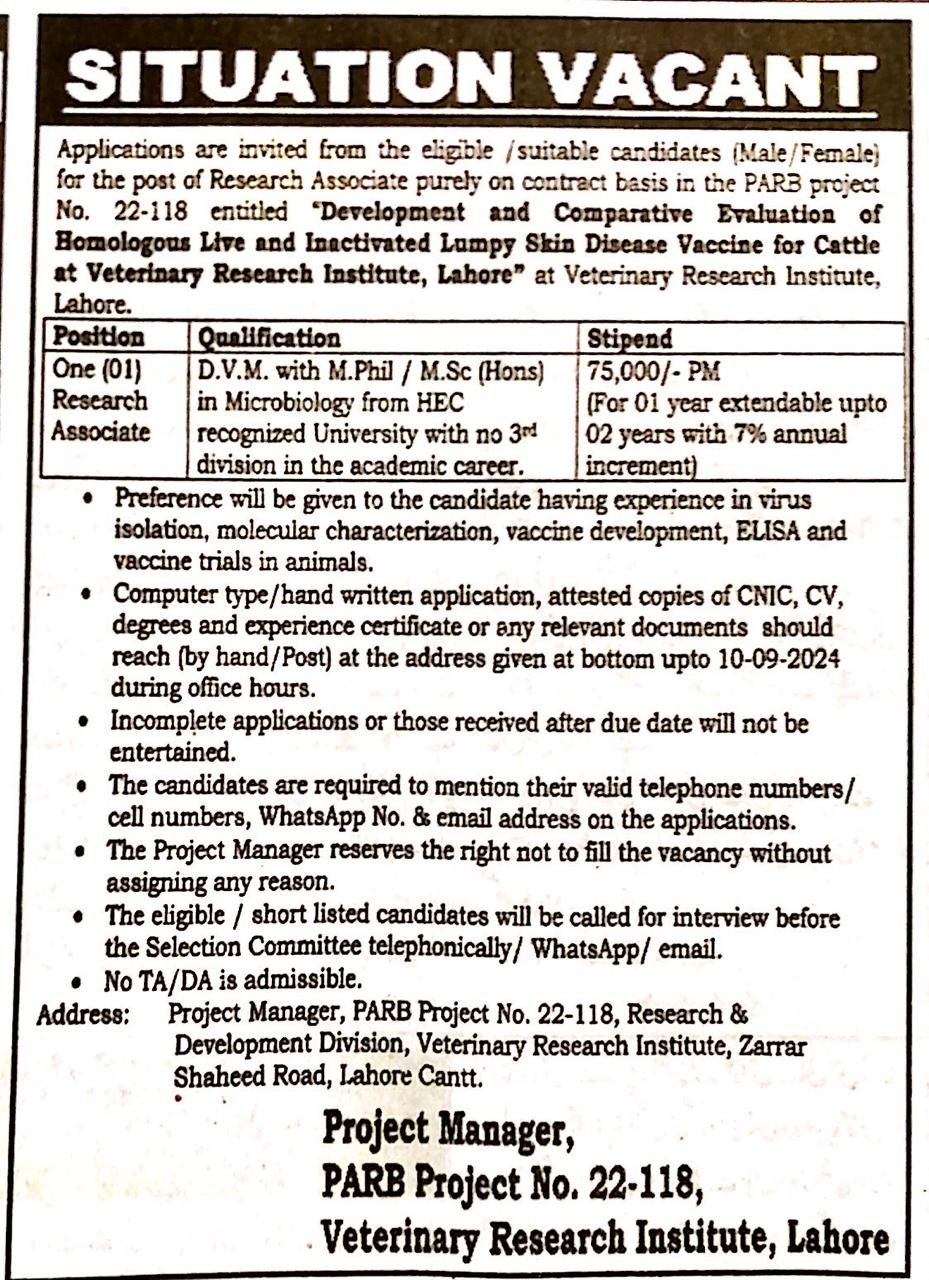 Research Associate